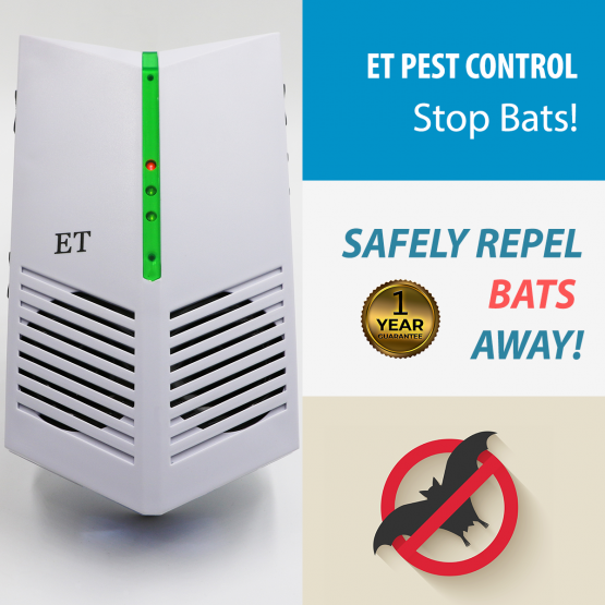 What is a Bat? Do Bats Bite? Bat Habits Bat Threats